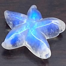 忘憂藍貓爪貓咪菩提根手鏈女白玉菩提子繞指柔學生手持菩提手串男女飾品流行飾品．RA07874  [滿300出貨] 歷史價格詳細信息