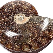 風螺馬達報警器MS-790MS-690 MS-590工業防空雙向馬達電動報警器 歷史價格詳細信息