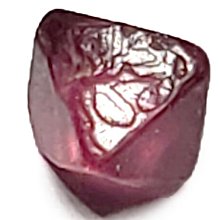 ***原礦屋*** 優質無抽油梢楠粉一斤 (600g) 裝！(檀香、沉香、檜木) 歷史價格詳細信息