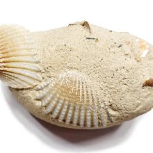 a級中控顯示屏幕鋼化膜a200l導航保護貼膜a180汽車內改裝用品 歷史價格詳細信息