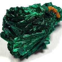 非洲 剛果 2010年 世界勇士系列 斯巴達戰士 10法郎 紀念幣 錢幣-ACCA評級幣 高分 (黃36) 歷史價格詳細信息