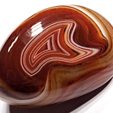 海棉握力器 A型泡棉臂力器 復健 運動健身 握力棒 握力器【DG295】 歷史價格詳細信息