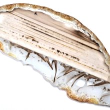 ***原礦屋*** 吉祥帶財！對應海底輪！A級優質天然無染阿拉善瑪瑙原礦標本！(彩虹戈壁石、粉圓瑪瑙、礦標、冥想、靈修) 歷史價格詳細信息