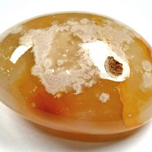 櫻花 8加侖臥式橫掛式6KW電熱水器【EH0810AL6】 歷史價格詳細信息