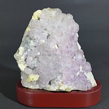 [銀九藝] 水墨字畫 國畫 李如霖 花卉孔雀 (lin) 歷史價格詳細信息