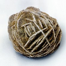 沙漠玫瑰，怎麼開花：龍應台演講集（上）/龍應台【城邦讀書花園】 歷史價格詳細信息
