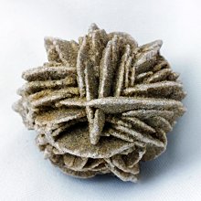 沙漠玫瑰，怎麼開花：龍應台演講集（上）/龍應台【城邦讀書花園】 歷史價格詳細信息