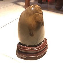 Attic-Ralph Lauren 牛津polo衫 Xs號 歷史價格詳細信息