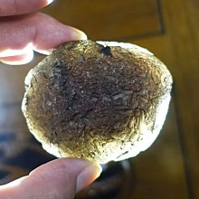 §能量礦石§ 哥倫比亞隕石 Columbianite 火山玻璃 27.90g 閃電石 愛睏石 歷史價格詳細信息