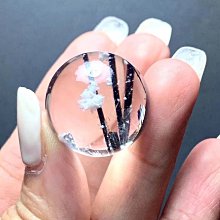 花豹與白兔：天涯的她方 歷史價格詳細信息