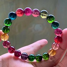 巴西木水培幸運木帶芽發貨小盆栽室內辦公室桌面水養懶人植物擺件 歷史價格詳細信息