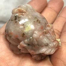 龍龜~帶色根 歷史價格詳細信息