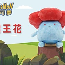 卡比獸 傑尼龜 短袖上衣 親子裝 寶可夢 大人 小孩 神奇寶貝 台灣製造 純棉 卡通印花 歷史價格詳細信息