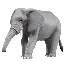TOMICA 音效版AS02 非洲象_AN81426 多美動物園 歷史價格詳細信息