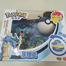 精靈寶可夢 神奇寶貝 變形球 暴鯉龍 皮卡丘 噴火龍 超夢 水箭龜 妙蛙花 可達鴨 伊布 8款1組 歷史價格詳細信息
