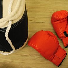 4KG沙包 歷史價格詳細信息