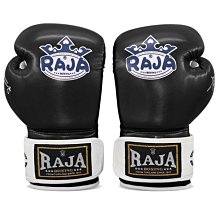 RAJA泰式腳靶拳擊搏擊手靶搏擊訓練靶師用對練散打踢靶拳靶加厚 歷史價格詳細信息