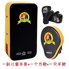 茜茜精品 拳套fairtex 泰國原裝 BGL6 專業比賽用拳套鎖定拇指款 真皮 綁繩款 歷史價格詳細信息