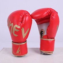 茜茜精品 拳套fairtex 泰國原裝 BGL6 專業比賽用拳套鎖定拇指款 真皮 綁繩款 歷史價格詳細信息