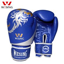 茜茜精品 拳套fairtex 泰國原裝 BGL6 專業比賽用拳套鎖定拇指款 真皮 綁繩款 歷史價格詳細信息