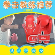現貨 拳擊手套拳擊手套兒童成人散打泰拳格斗男女初學訓練沙袋專業自由搏擊拳套可開發票 歷史價格詳細信息