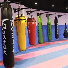 (拳擊沙袋雙層PU皮) 加厚版 打吊式 家用減壓 室內跆拳道 健身專業訓練 掛式 空心沙包袋子 ㄆ嬄 歷史價格詳細信息