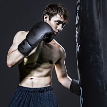 FIVING拳擊手靶成人兒童散打拳靶泰拳訓練器材一對弧形靶圓靶 歷史價格詳細信息