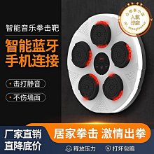 拳擊靶牆靶家用貼牆免打孔散打搏擊泰拳訓練成人解壓兒童鍛煉拳靶 歷史價格詳細信息