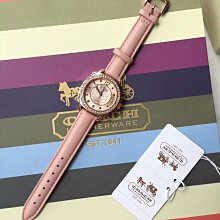 NaNa代購 COACH 手錶 2023限定 兔年生肖限定紀念款新年送禮 聖誕禮物 附禮品盒 歷史價格詳細信息