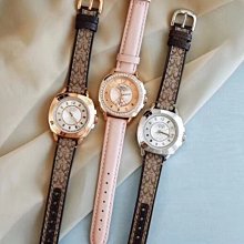 NaNa代購 COACH 手錶 2023限定 兔年生肖限定紀念款新年送禮 聖誕禮物 附禮品盒 歷史價格詳細信息
