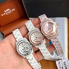 NaNa代購 COACH 手錶 2023限定 兔年生肖限定紀念款新年送禮 聖誕禮物 附禮品盒 歷史價格詳細信息