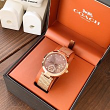 現貨熱銷-COACH 手錶 編織鋼帶 時尚個性豬標誌手錶 生活30米防水 購美國代購Outlet專場 可團購 歷史價格詳細信息