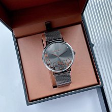 Coach 灰白色麂皮側肩包  (二手) 歷史價格詳細信息