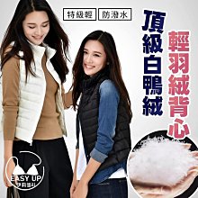 女士成人保守背心連身平角遮肚顯瘦專業訓練大尺碼速乾溫泉遊泳衣裝 歷史價格詳細信息