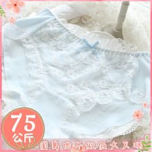 圓舞曲❤️【現貨】B1W019P❤️瘦子不要看????不做假大尺碼????性感雙V蕾絲水鑽小褲????大尺碼內褲大碼內褲加大內褲大尺 歷史價格詳細信息