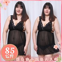 圓舞曲❤️【現貨】A5M106P❤️瘦子不要看????不做假大尺碼????今晚用我睫毛蕾絲裙襬征服你????大尺碼情趣大碼情趣加大情 歷史價格詳細信息