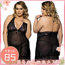 圓舞曲❤️【現貨】A2M058P❤️瘦子不要看????不做假大尺碼????性感睫毛受不了內衣組????大尺碼情趣大碼情趣加大情趣大尺 歷史價格詳細信息