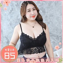 現貨????超美幻彩珍珠光澤小兔子髮夾 歷史價格詳細信息