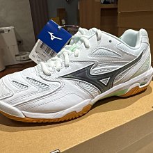 （羽球世家）美津濃 Mizuno 排球鞋 WAVE LIGHTNING Z8 白金 大賽選手鞋 V1GA240059 歷史價格詳細信息