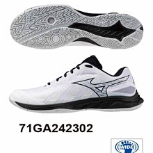 MIZUNO 休閒鞋 運動鞋 防護鞋 男鞋 女鞋 中性款 F1GA213409 黑色 歷史價格詳細信息