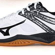 MIZUNO 男 排羽球鞋 LIGHTNING 排球鞋 白綠色 白黑色 -V1GA220044 V1GA220061 歷史價格詳細信息