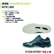 好鏢射射~~MIZUNO 護鞋套11GZ173001(白色/右投) 11GZ173001/ L 歷史價格詳細信息