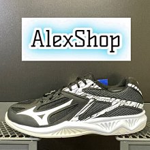 MIZUNO 男 排羽球鞋 LIGHTNING 排球鞋 白綠色 白黑色 -V1GA220044 V1GA220061 歷史價格詳細信息