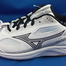 快速出貨 美津濃 MIZUNO 3E寬楦慢跑鞋 WAVE SKYRISE 4 型號 J1GC232302 [120] 歷史價格詳細信息