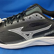快速出貨 美津濃 MIZUNO 3E寬楦慢跑鞋 WAVE SKYRISE 4 型號 J1GC232302 [120] 歷史價格詳細信息