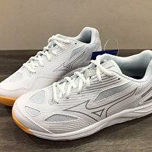 Mizuno Cyclone Speed 4 [V1GA238055] 男女 排球鞋 基本款 運動 訓練 輕量 黑 白 歷史價格詳細信息