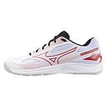 【MIZUNO 美津濃】CYCLONE SPEED 5 男女款排球鞋 V1GA258051 V1GA258156(排球鞋) 歷史價格詳細信息