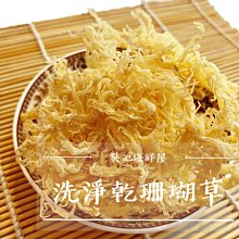 [快速出貨]淨禦司5只裝飛利浦吸塵器配件過濾芯濾網FC8254/8262/8264/8270/8 歷史價格詳細信息