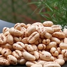 【買爆它】15色 2022開衫夏季新款寬鬆立領純色荷葉邊短袖襯衫泡泡袖上衣通勤時尚派對女裝 歷史價格詳細信息