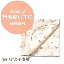 小P *多功能便攜超輕可折疊雙肩包女學生書包收納包   ** 旅行雙肩背包 ** 綠/桃紅/灰 歷史價格詳細信息